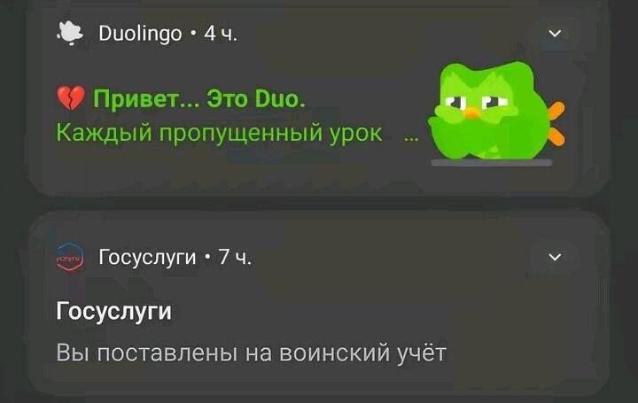 Duolingo оштрафовали в России за нарушение закона о локализации данных 4 duolingo oshtrafovali rossiya lokalizatsiya dannykh