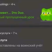 Duolingo оштрафовали в России за нарушение закона о локализации данных 8 duolingo oshtrafovali rossiya lokalizatsiya dannykh