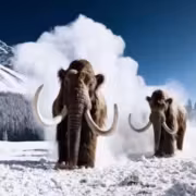 OpenAI закрывает видеоплатформу Sora после отмены миллиардного контракта с Disney