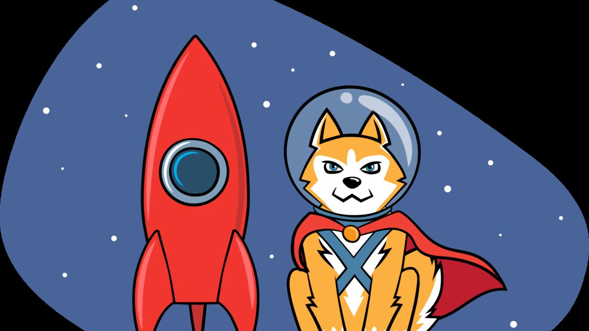 Космический путешественник-кошка рядом с ракетой и звездным кораблем