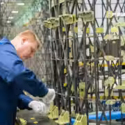 photo 2026 03 04 16 19 54 large