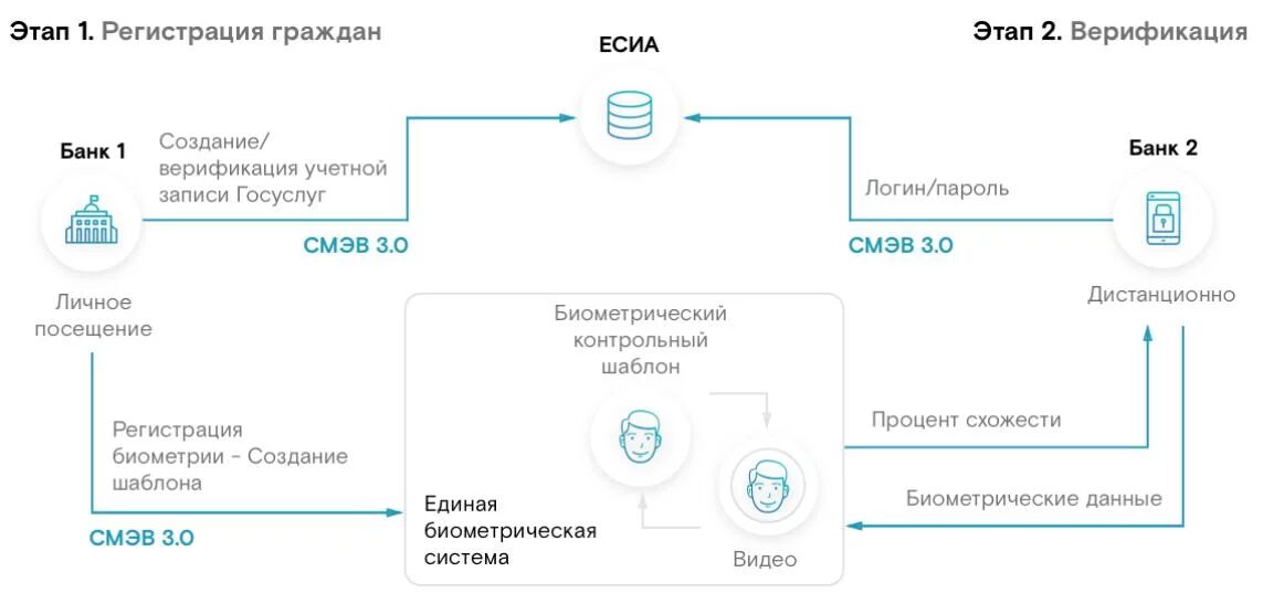 Схема биометрической системы для платежей по гражданам Виктория
