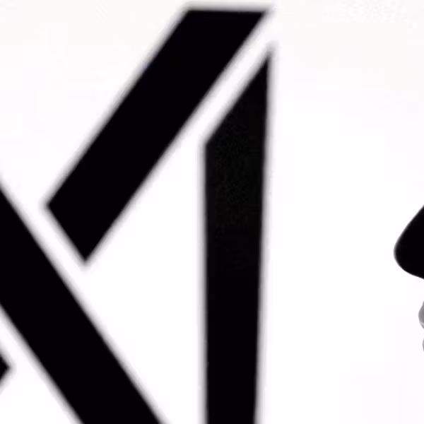 силуэт лица и логотип xAI