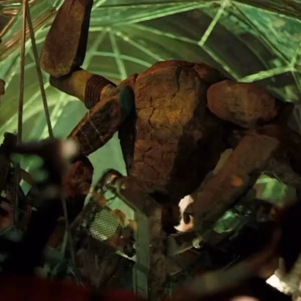 Рокки из проекта Конец света внутри лаборатории движется