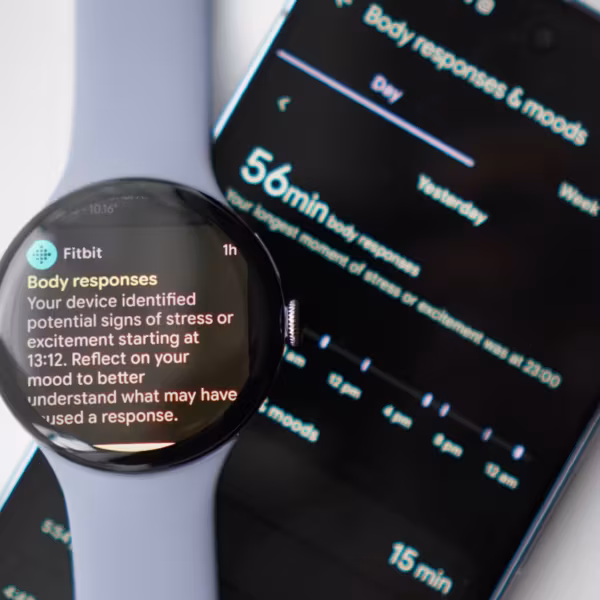 Умные часы Fitbit показывают показатели стрессов и реакции тела