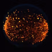 NASA запустит первый эксперимент с огнём на Луне