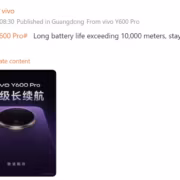 Варио Y600 Pro задняя панель, камера, логотип