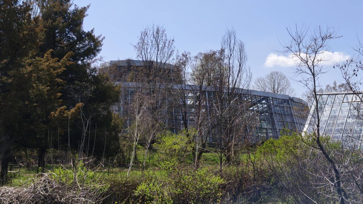 вид на деревья и здание в парке с стеклянной крышей