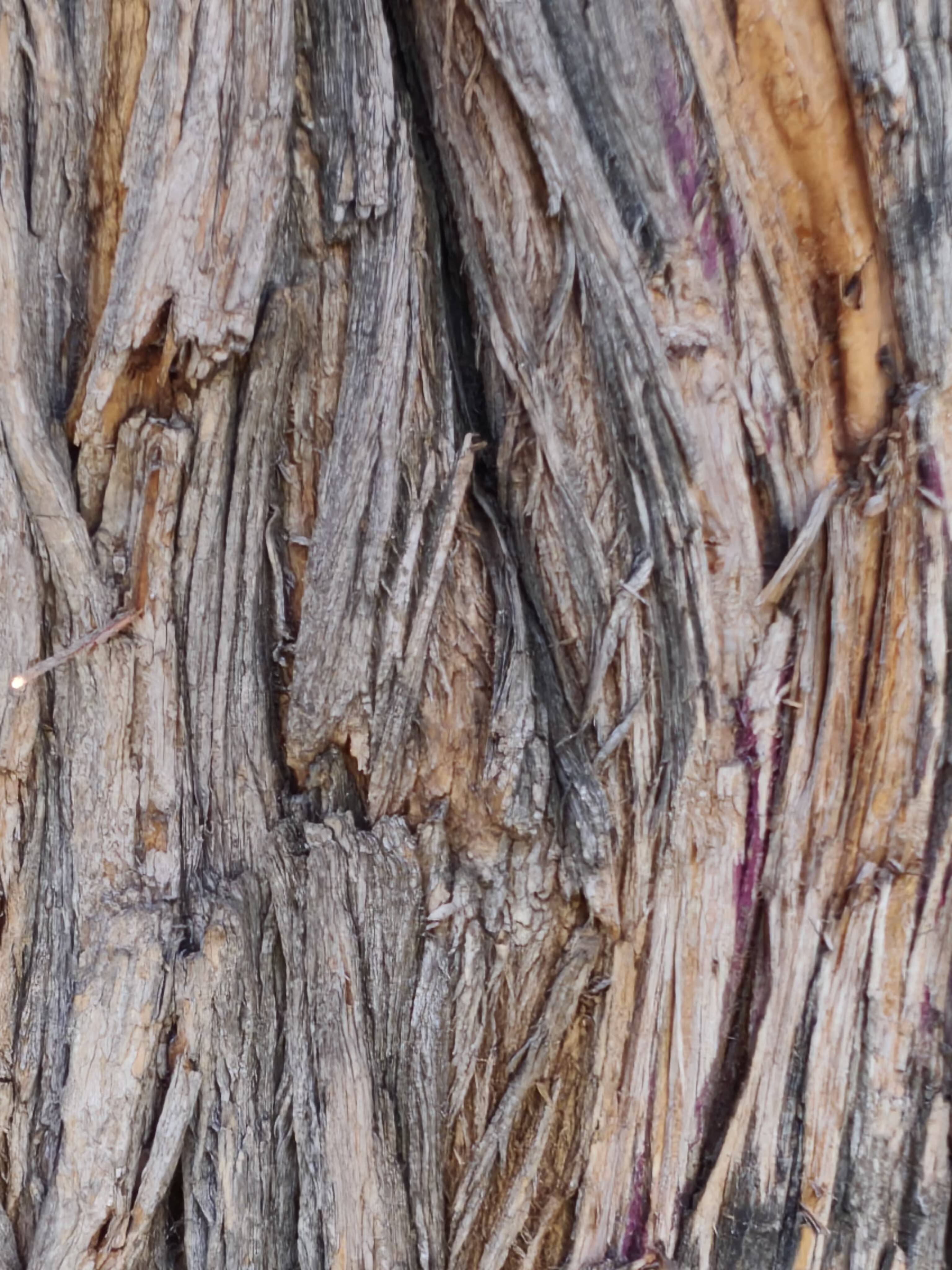 Обзор realme 16 Pro 5G: 7000 мАч, японский дизайн и камера 200 мегапикселей 51 Текстура коры дерева для обзора realme 16 Pro 5G