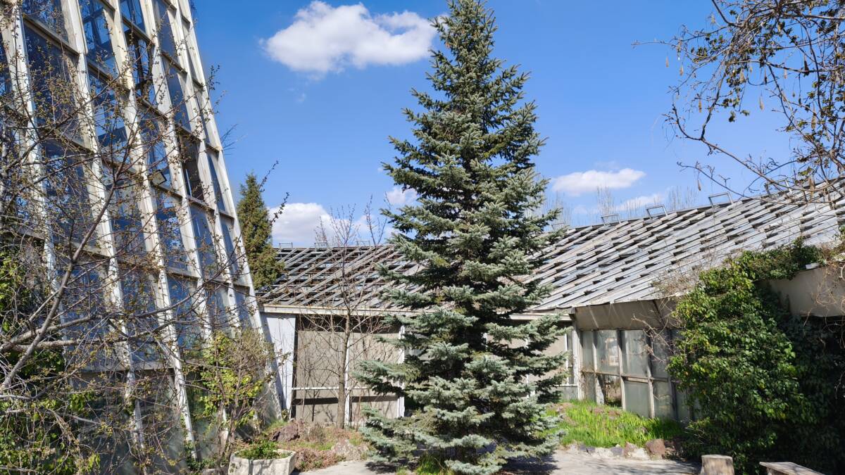 Деревья у здания на солнечном небе в статье realme 16 Pro 5G