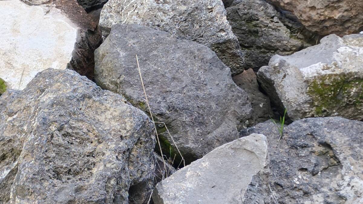 Крупные разнокалиберные камни и трава