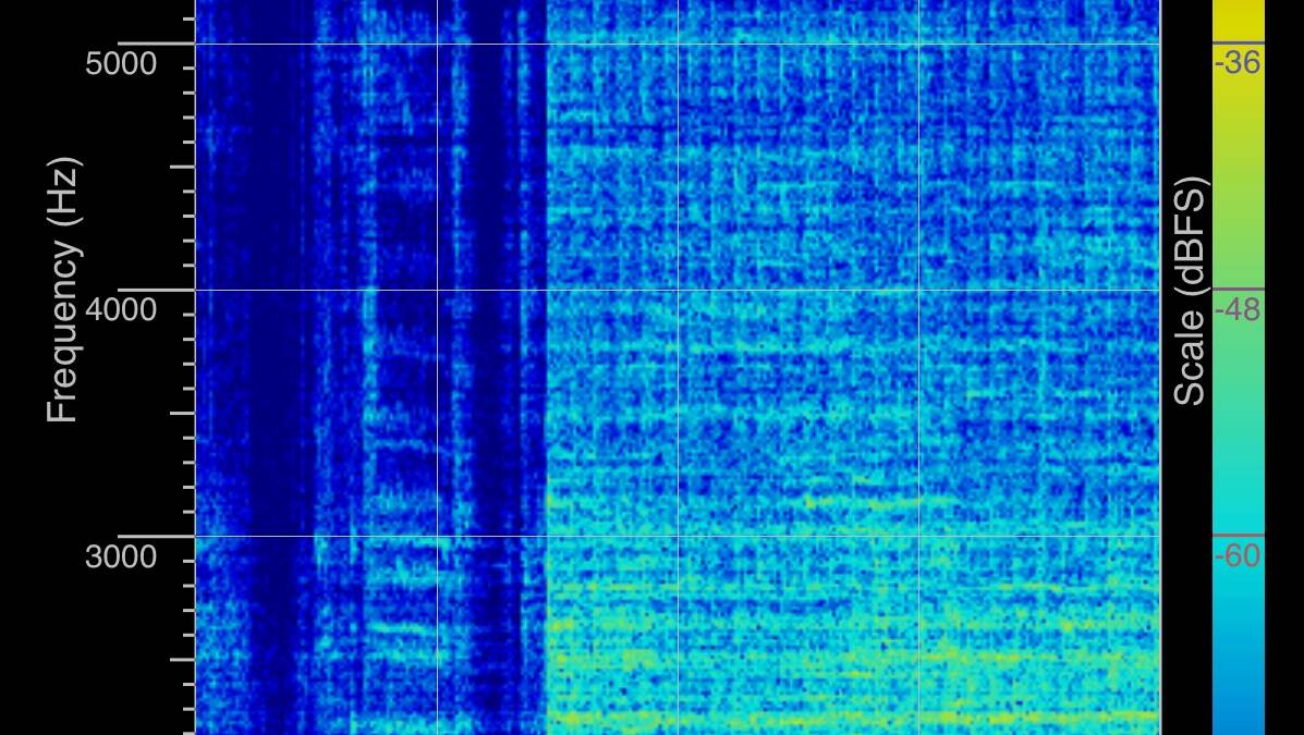 Анализ звуковых частот с воспроизводителя RP-LPX500SPBK спектрограмма