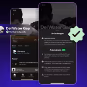 скриншот профиля Spotify с бейджем Verifed by Spotify and артистом badges