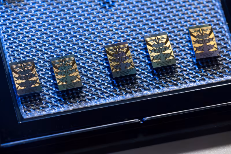 Четыре кристаллические чипы Cisco квантовый коммутатор