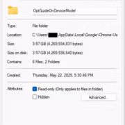 свойства папки OptGuideOnDeviceModel в Windows