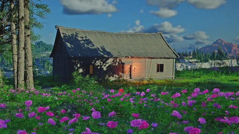 Деревянный дом и цветы Crimson Desert