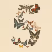 Бабочки и мотыльки разной окраски и размера модель Claude Fable 5