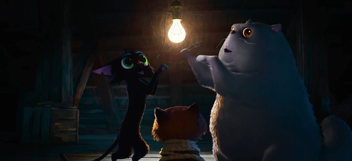 Мультфильм Гатто студии Pixar, два кота и белый пес в комнате