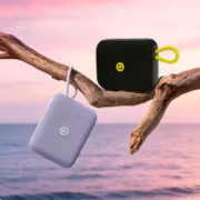 Две портативные колонки Asus Adol PO102 висят на ветке