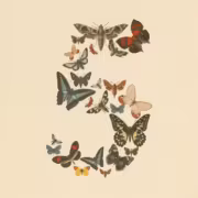 Бабочки и мотыльки, форма буквы S. Claude Fable 5