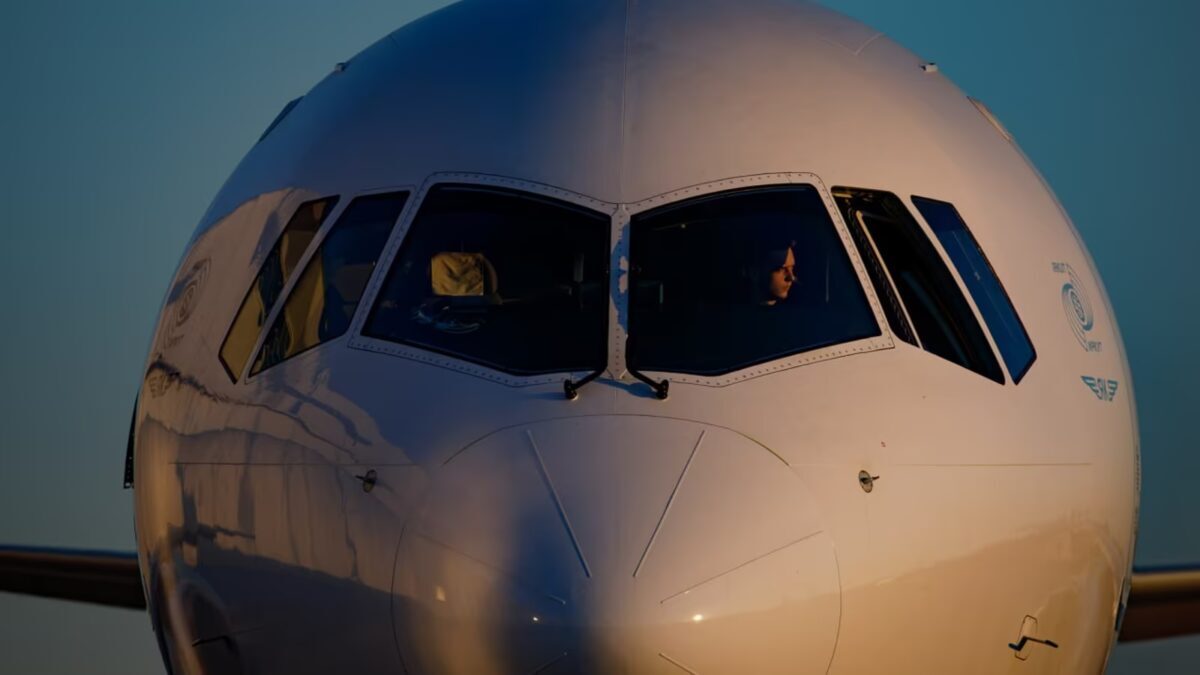 самолет Boeing 737 передней кабины иллюминаторы дверцы