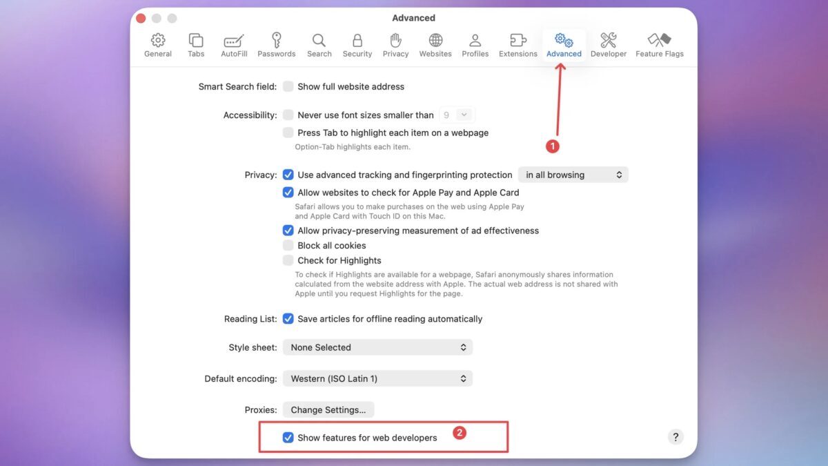 Настройки браузера Safari, вкладка Advanced, включены функции для веб-разработчиков