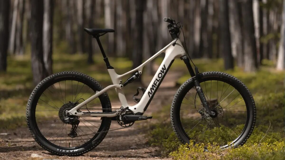 Электровелосипед Amflow TL Carbon в лесу на тропе