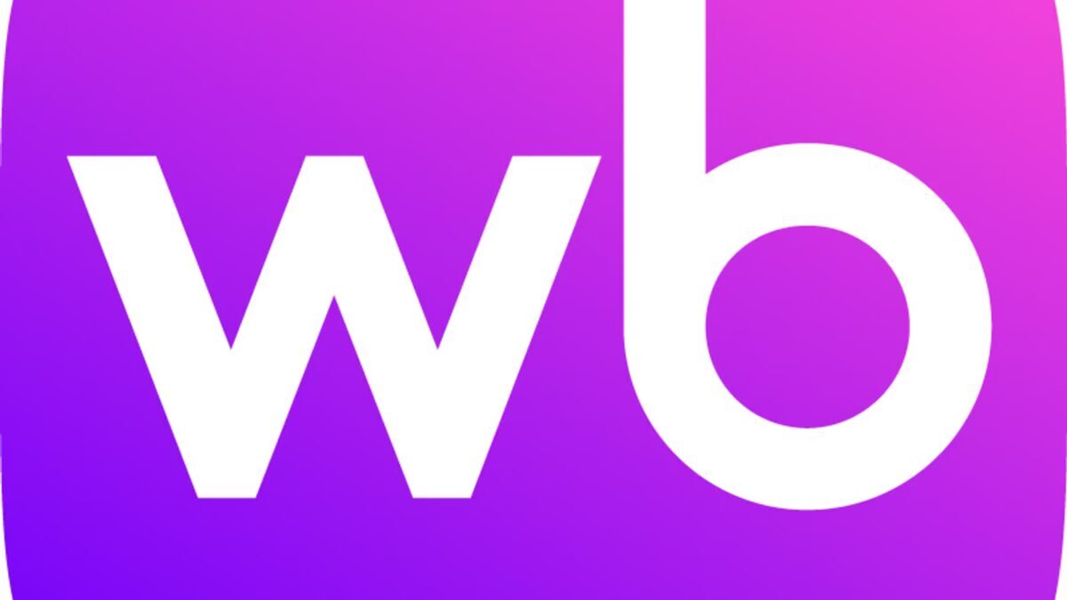 Логотип Wildberries и текст статьи о покупке доли в AliExpress Россия