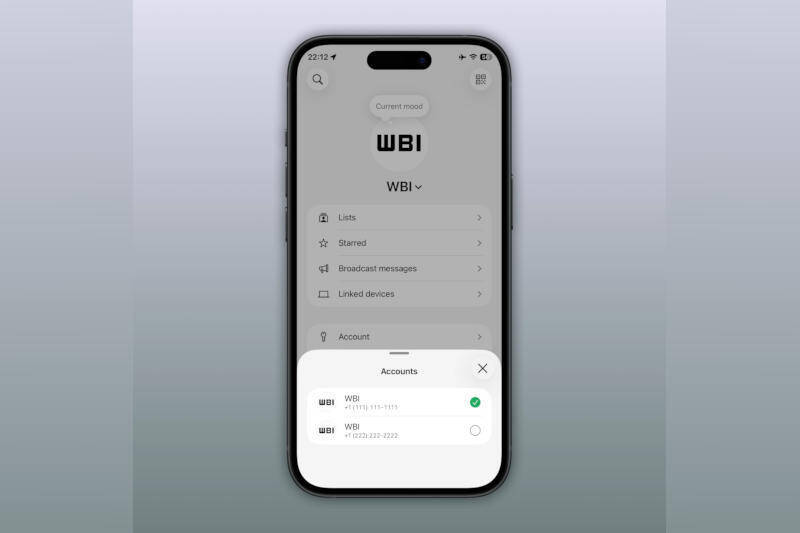 Экран WhatsApp на iPhone с выбором аккаунтов WhatsApp