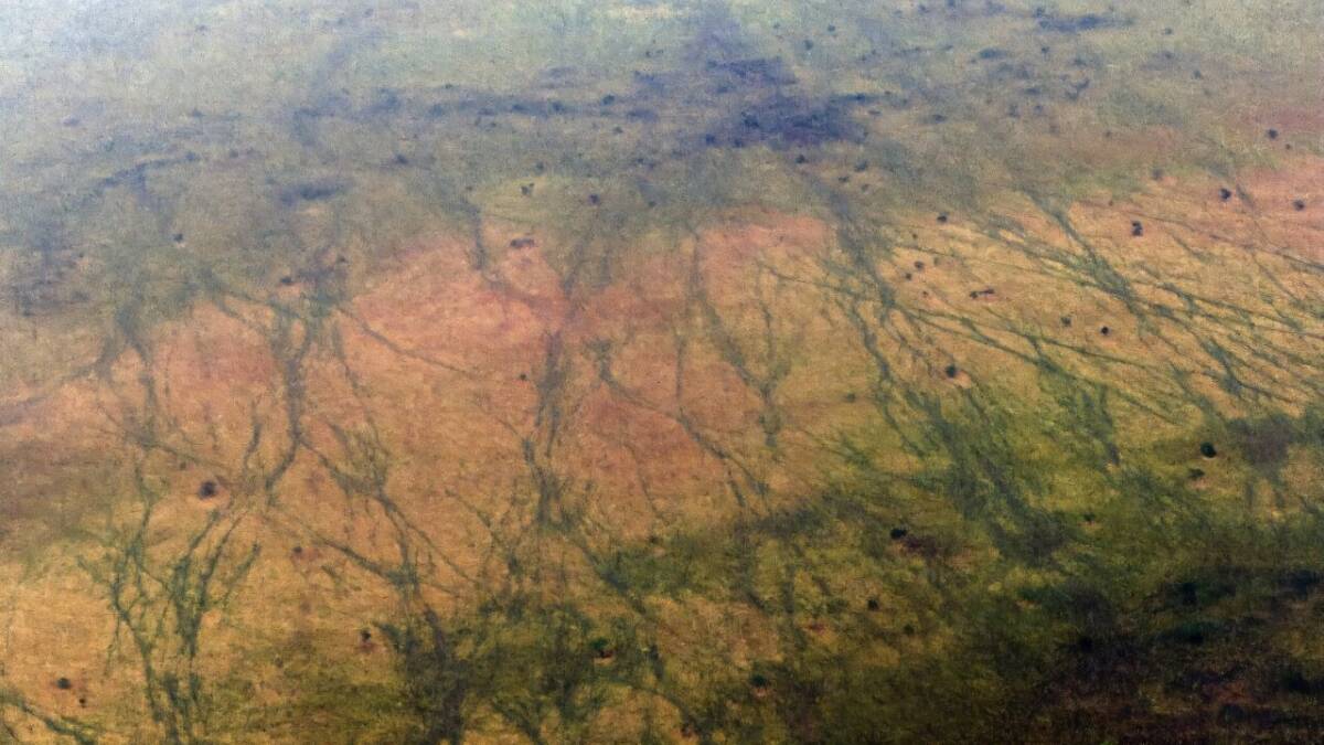 Байкал и 5 крепостей в Ливане могут попасть в список ЮНЕСКО под угрозой 1 Поверхность дерева с темными прожилками и пятнами Байкал и 5 крепостей в Ливане