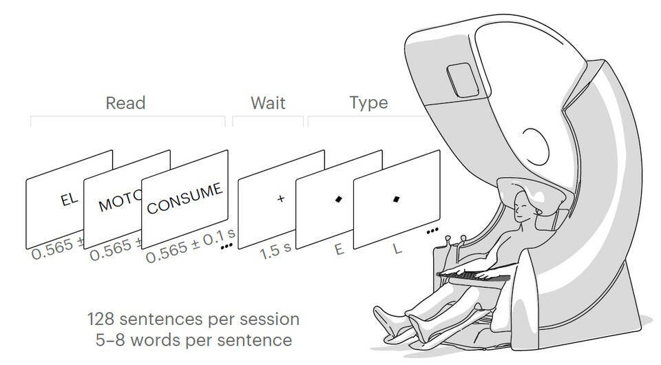 Человек в МРТ-сканере с интерфейсом Brain2Qwerty для чтения и обработки мозговых сигналов