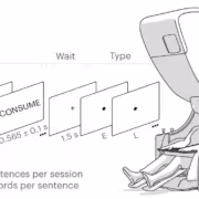 Человек в МРТ-сканере с интерфейсом Brain2Qwerty для чтения и обработки мозговых сигналов