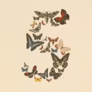 Anthropic сократила доступ к модели Fable 5 в Claude 1 Много различных бабочек и мотыльков, образующих число 3 модель Fable 5