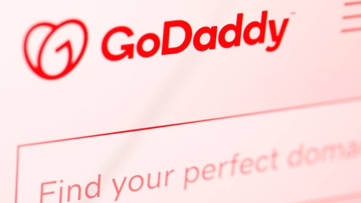 72 часа на выдачу данных: GoDaddy оспаривает решение суда Индии по доменам