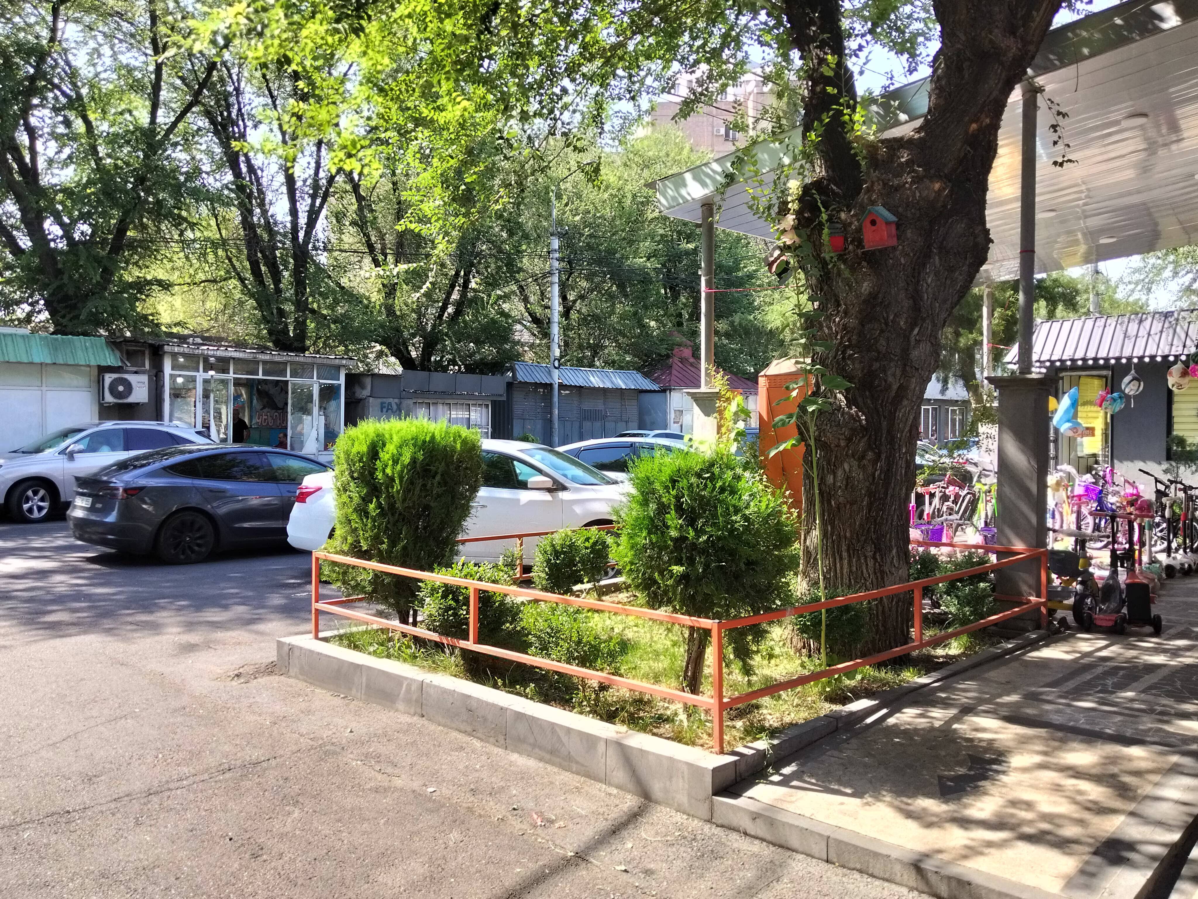 Дерево с голубой скворечницей и зелёными листьями