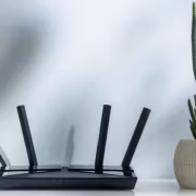 Роутер TP-Link с четырьмя антеннами и растением в горшке
