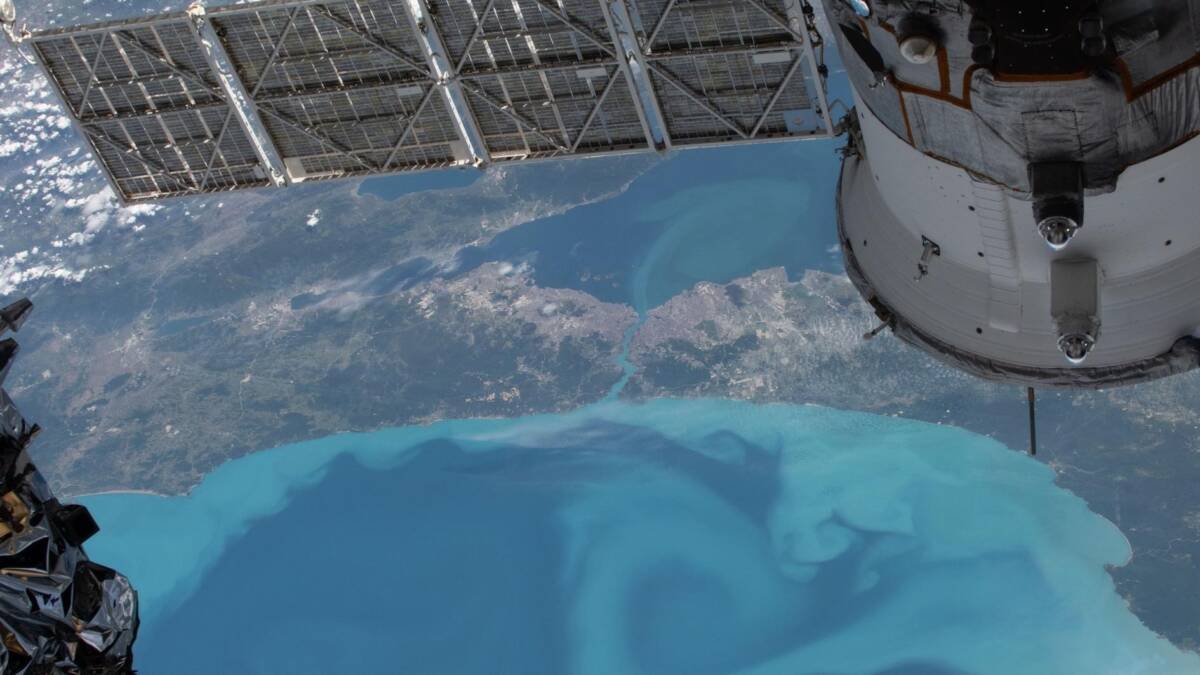 NASA показало бирюзовое цветение планктона в Чёрном море 1 NASA показало бирюзовое цветение планктона в Чёрном море