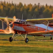 Сертификация Ан-2 не спасёт авиакомпании от новых расходов 4 Самолёт Ан-2 в полёте на фоне деревьев