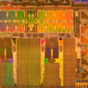 Tesla разделит AI5 между Samsung и TSMC, а чипы получатся разными 6 Микросхемы Tesla AI5 на микросхемной пластине