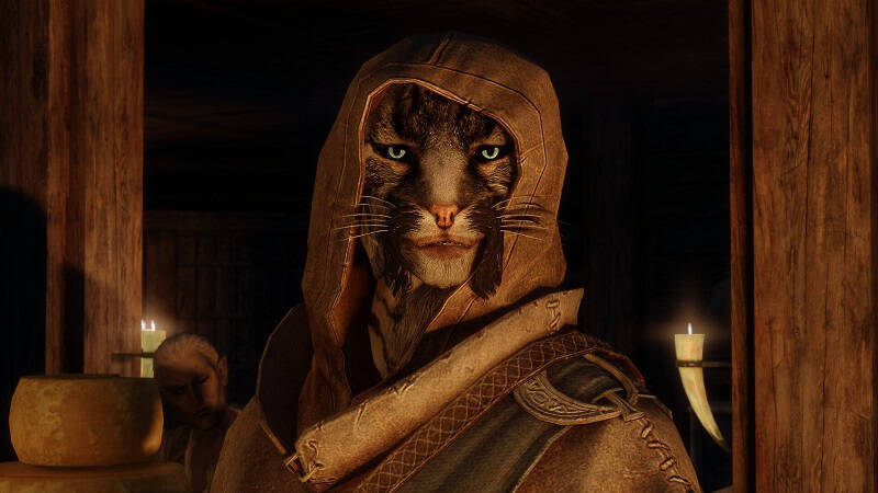 The Elder Scrolls VI ждут ещё 2—3 года, и это уже похоже на релиз в 2028-м 4 Кот с человеческим лицом в капюшоне Elder Scrolls VI
