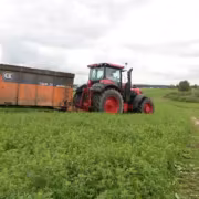 Трактор BELARUS 5425 тянет прицеп в поле