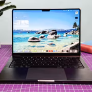 Ноутбук MacBook с берегом озера и горами, рабочий стол с книгой и растением