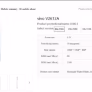 Рендер Vivo X300e с задней камерой и логотипом vivo