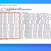 Экран терминала с списком версий macOS и их размеров