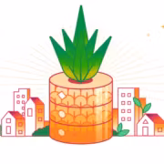 Cloudflare освободила 100 ТБ памяти в DNS-кеше 1.1.1.1 без новых серверов 1 Демонстрация концепции DNS-кеша 1.1.1.1 Cloudflare на фоне городских зданий