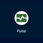 Логотип Pulse от Google в центре экрана