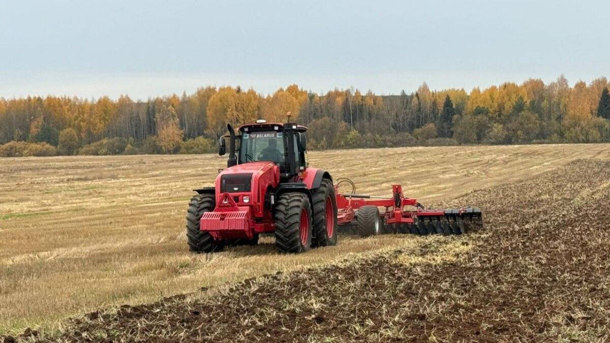 Трактор МТЗ на поле во время уборки урожая
