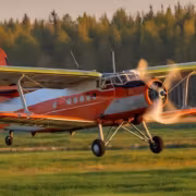 Ан-2 самолет в полете над полем и лесом статья