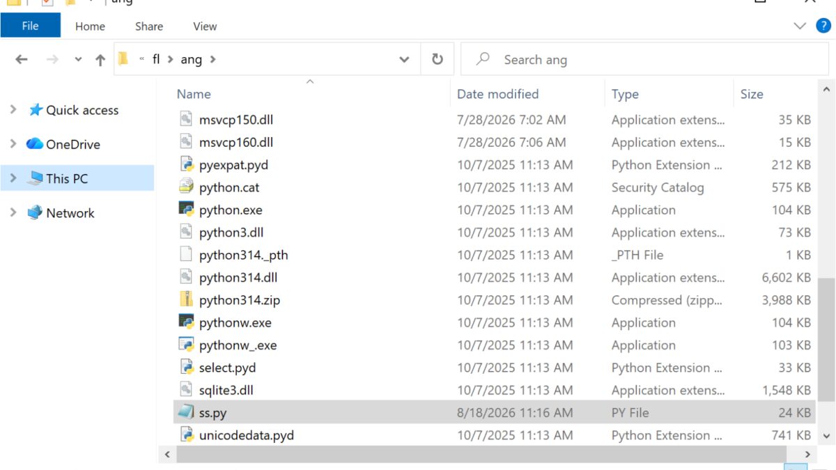 Папка ang с файлами Python и DLL расширениями