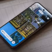 Смартфон Google Photos показывает галерею фотографий деревьев